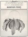 Annie's Attic Hanging Gardens: Boston Fern (bw)