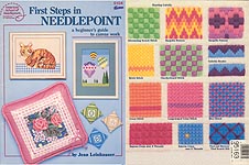 ASN First Steps in Needlepoint: A Beginner's Guide to Canvas Work